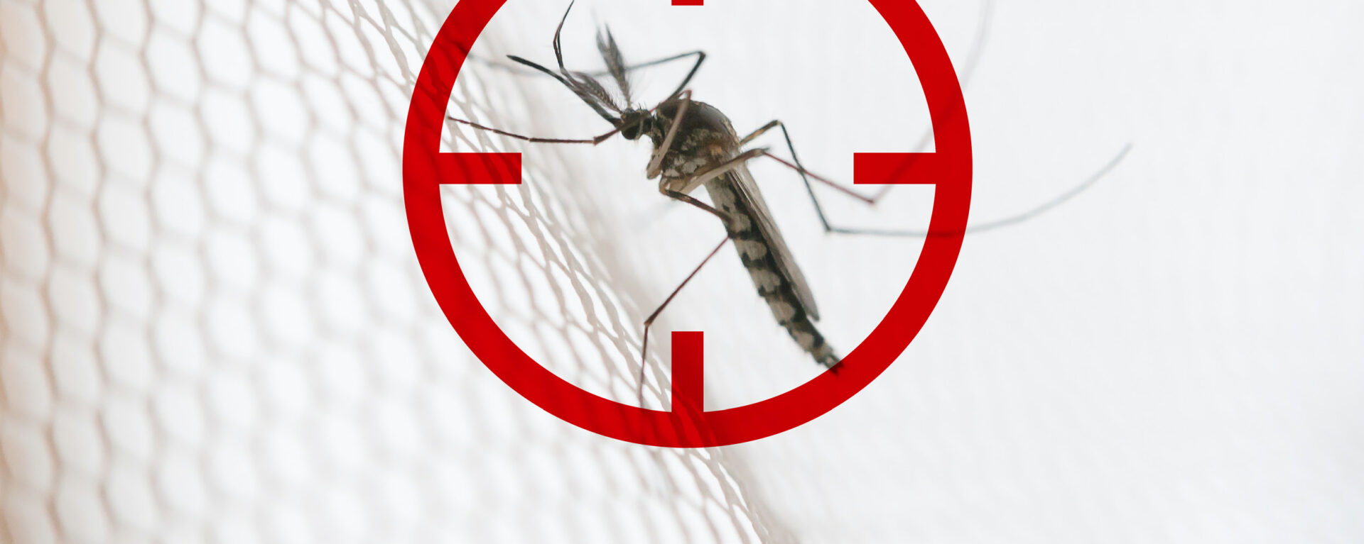 rénosun moustiquaire